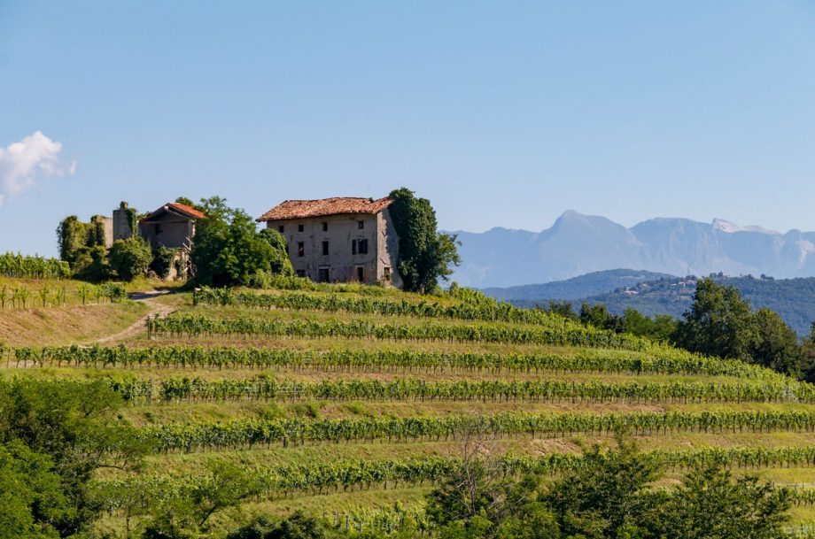Feb 2021 Italian Wine Club
