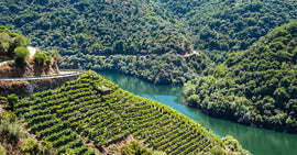 October 2022 Wine of the Month Club