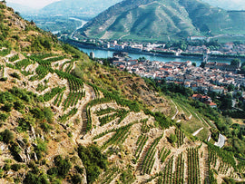 Q4 Red Rogues Club: Northern Rhone
