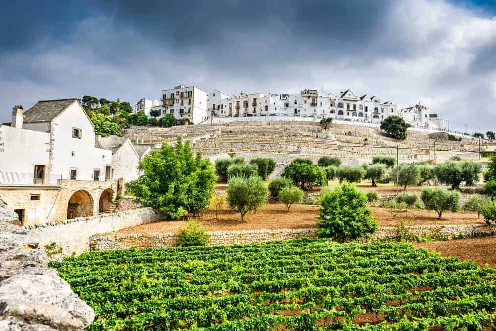 June Italian Wine Club- Puglia