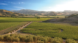 August 2023 Italian Wine Club