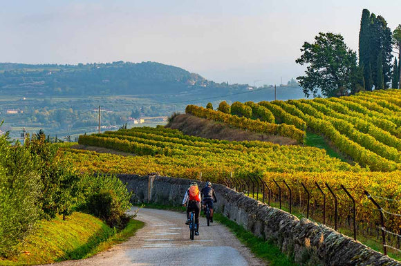 July '23 Italian Wine Club: Veneto