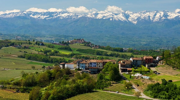 July 2021 Italian Wine Club