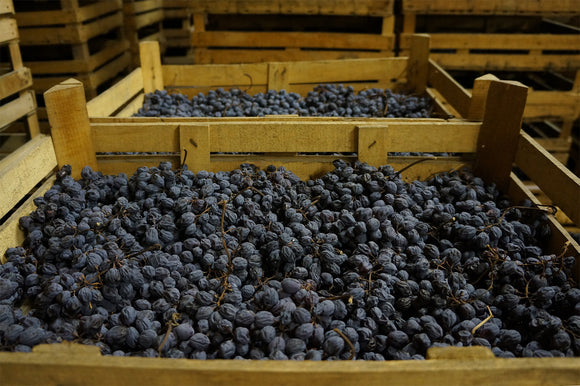 Q2 2023 Red Rogues Valpolicella/Ripasso/Amarone