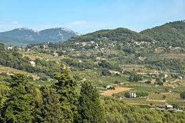 June 2024 Rosé of the Month Club