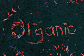 April '22 Champagne Club