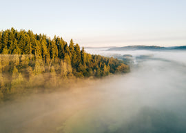 April Beer of the Month: Drinking the Best of the Pacific Northwest