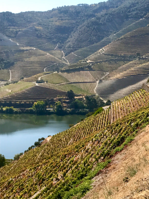 Q1 2022 Red Rogues- A Visit to Portugal