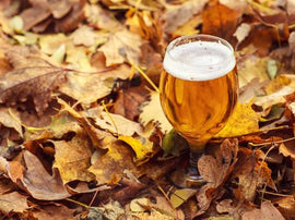 Thanksgiving Pairings: Beer & Spirits Edition