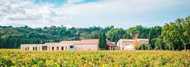 August Rosé of the Month Club