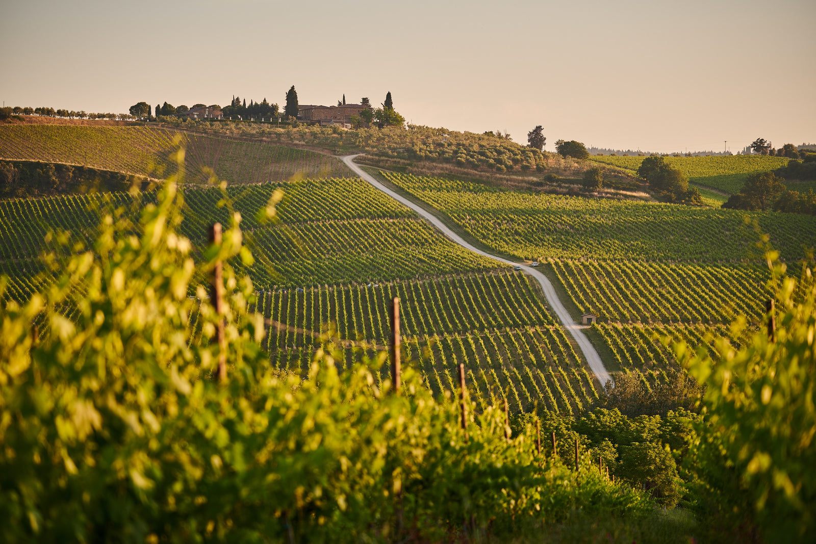 December Italian Wine Club 2021: Buone Feste da Montalcino!