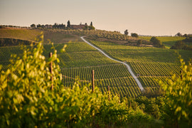 December Italian Wine Club 2021: Buone Feste da Montalcino!