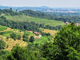 May Italian Wine Club