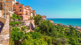 June Italian Wine Club: Le Marche
