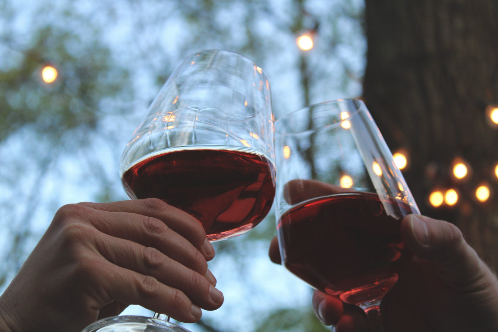 Q4 2021 Red Rogues -Analemma Wines