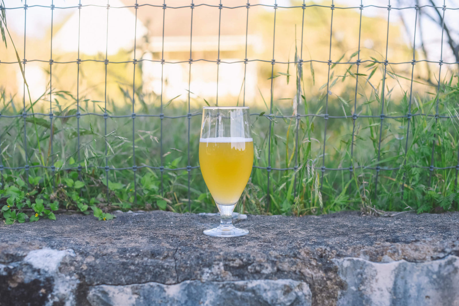 Beer of the Month Club August 2024: Saison