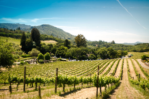Wine of the Month: October