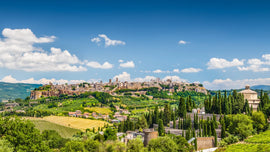 Italian Wine Club December 2022: Italy's Green Heart