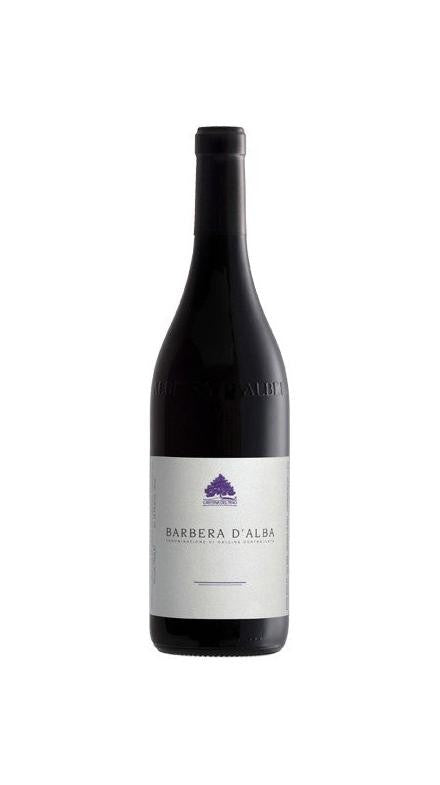 Cantina del Pino Barbera