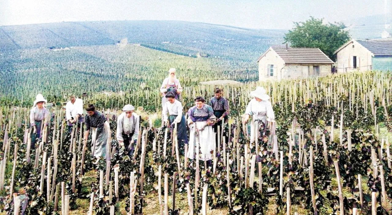 Champagne Club June: E. Barnaut &amp; Michel Gonet&nbsp;