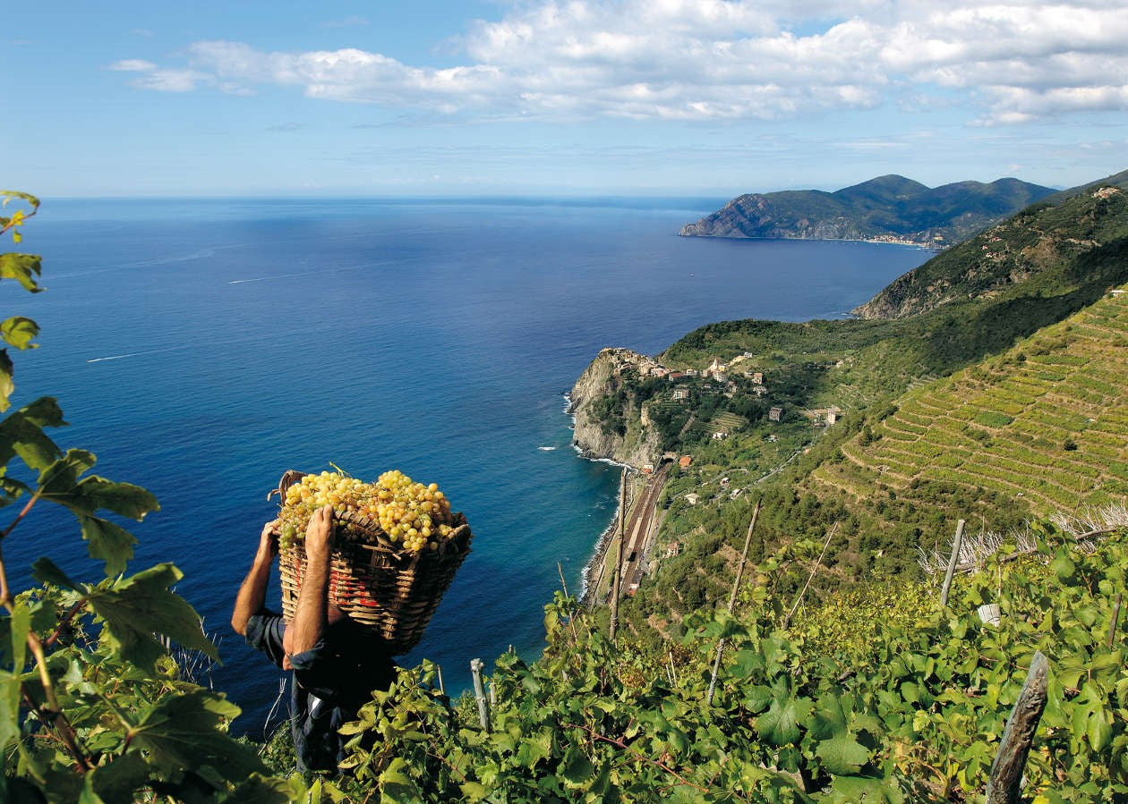 August 2021 Italian Wine Club