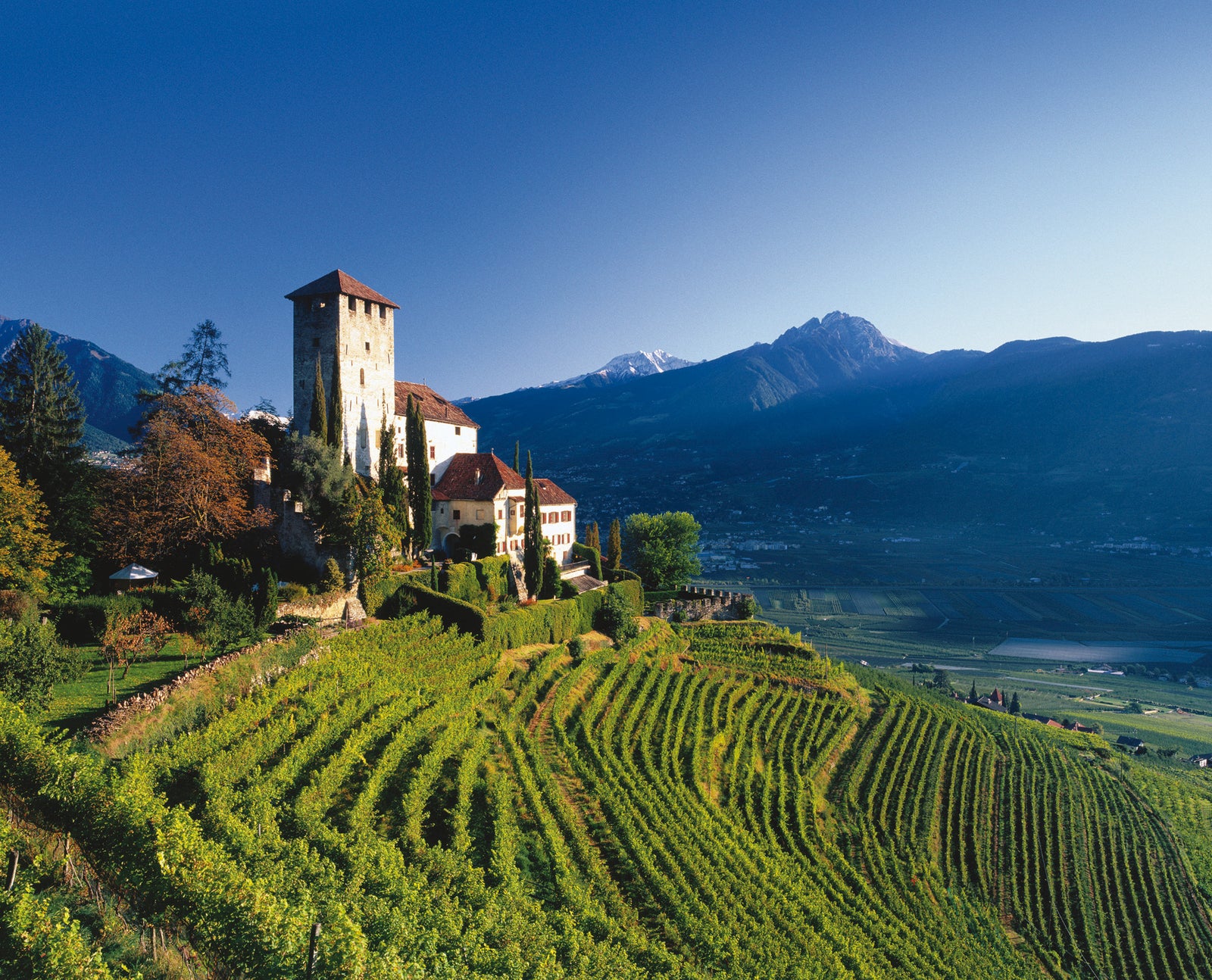 Italian Wine Club July 2024: Trentino-Alto Adige/Sudtirol