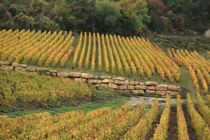 April Champagne Club: Guy Charlemagne & Louise Brison