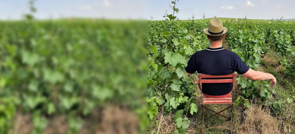 Champagne Club December 2025: Message in a Bottle