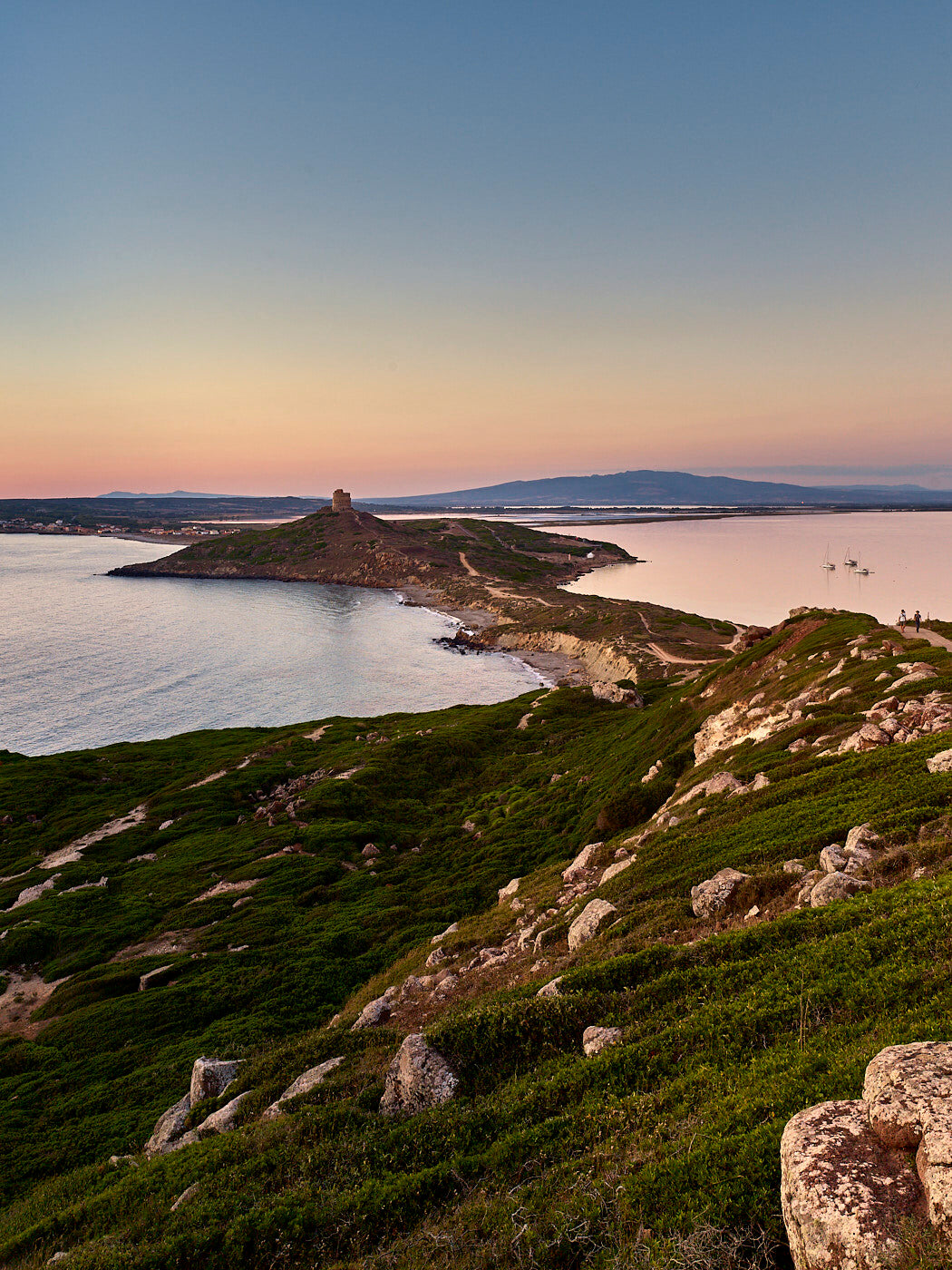 Italian Wine Club February 2024: Sardinia