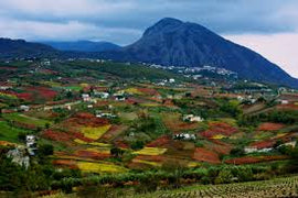Italian Wine Club June 2026