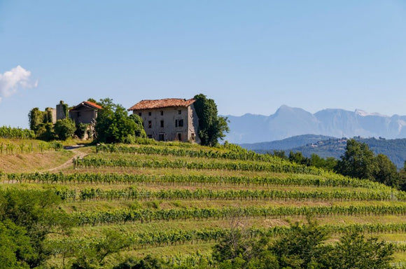 Feb 2021 Italian Wine Club