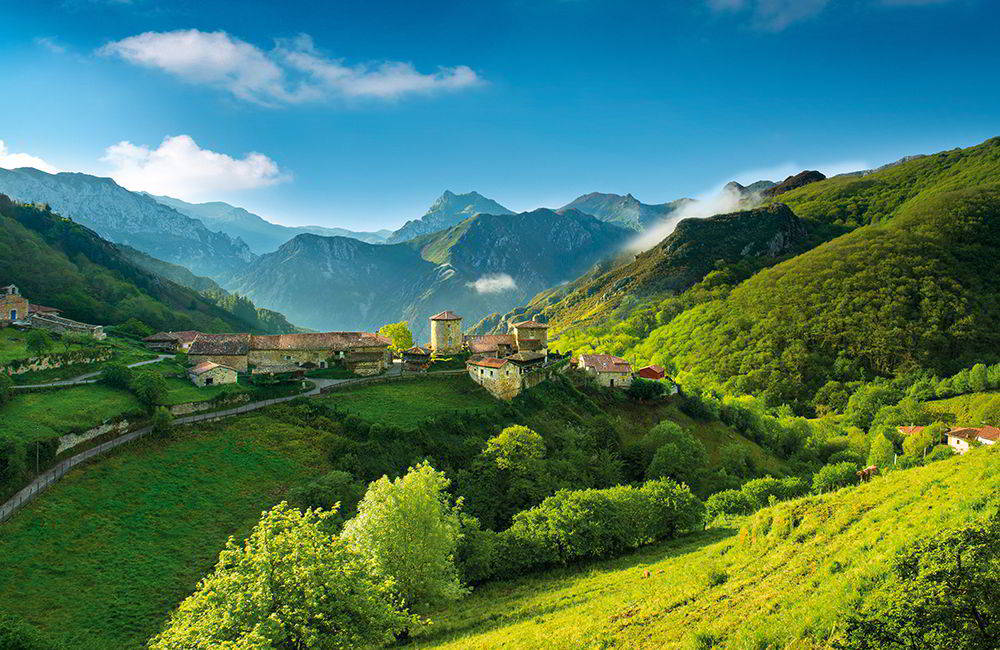 Red Rogues Q2 2025 - España Verde