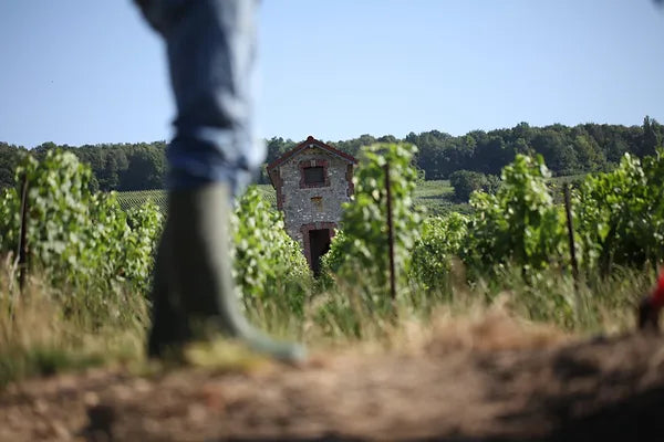 February Champagne Club: Goutorbe-Bouillot
