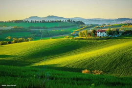 Italian Wine Club March 2026