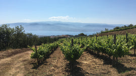 Italian Wine Club March 2025: East of Etna