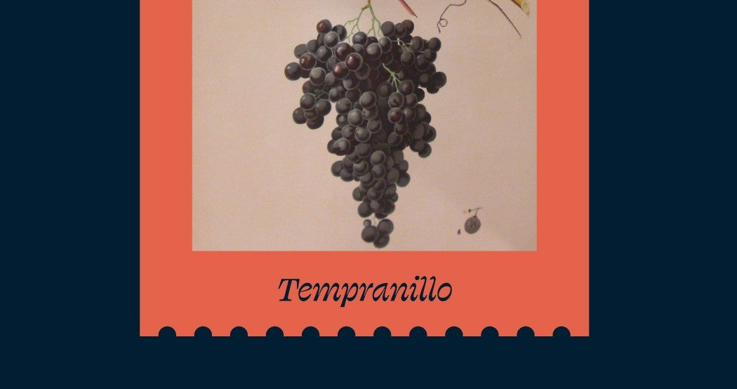 Quarter 4 Red Rogues: Wines for the Holidays