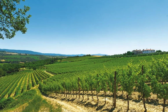 Italian Wine Club August 2026