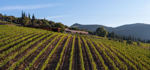 July 24 Rose Club: Italian Rosato