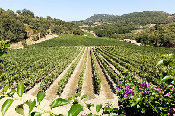 February 2022 Italian Wine Club