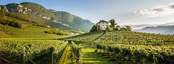 January 2026 Italian Wine Club: Trentino-Alto Adige/Suditrol