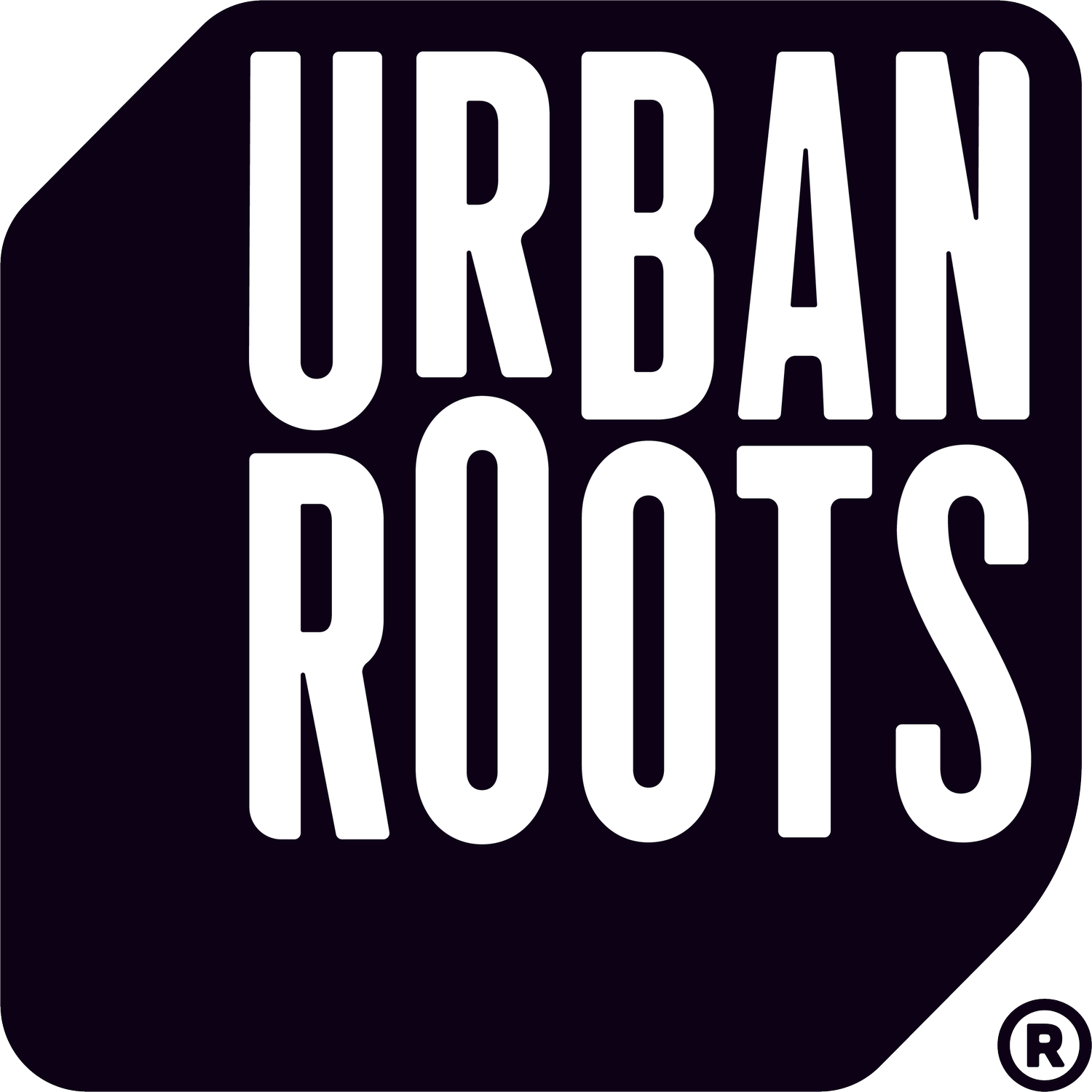 Beer of the Month Club February 2025: Urban Roots Brewing and Smokehouse