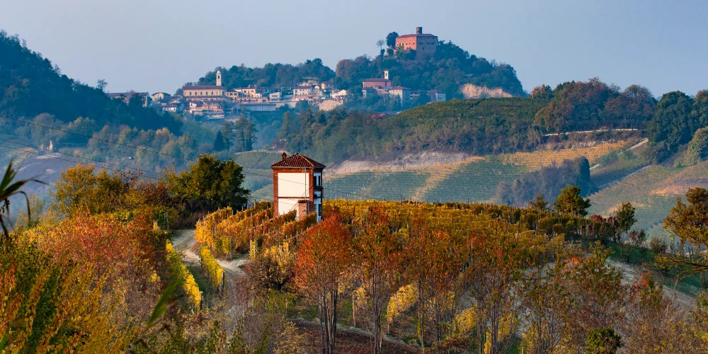 Italian Wine Club November 2023: Italo Infinito