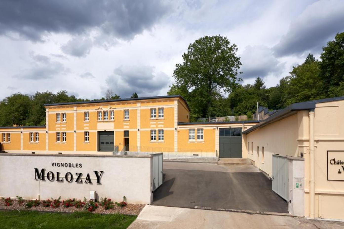 Wine of the Month November: Château de Vaux