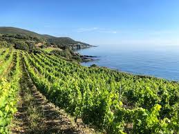 October 2021 Rosé Club