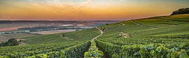 August Champagne Club: Allouchery-Bailly & Barrat-Masson