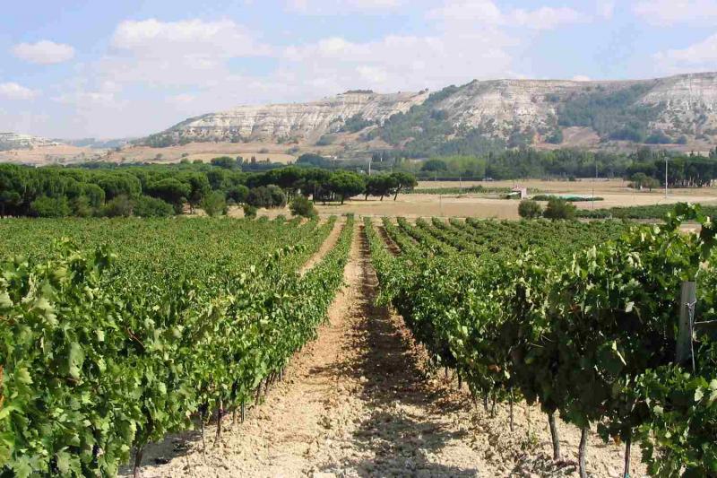 2018 Red Rogues Club: Q1