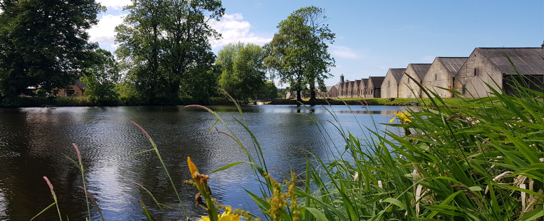 Single Malt Club Quarter 4 2023: Benriach The Sixteen Single Malt Scotch Whisky