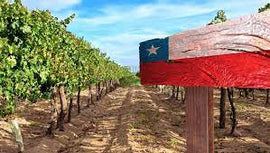 March 2023 Wine of the Month- Chile