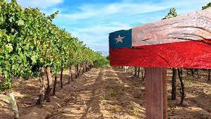 March 2023 Wine of the Month- Chile