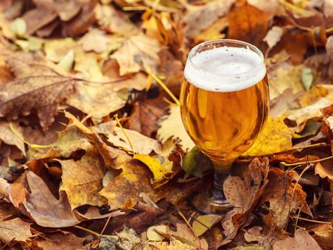 Thanksgiving Pairings: Beer & Spirits Edition